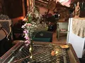 ダージリンの写真_280092