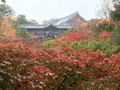 京都駅の写真_280113