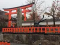 京都駅の写真_280115