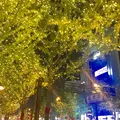 御堂筋の写真_280222
