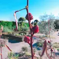生活の木薬香草園の写真_280316