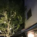 ザ・ハーベストキッチンジェネラルストアの写真_280382
