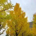 熊本県の写真_280491