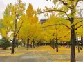 熊本県の写真_280493