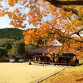特別史跡旧閑谷学校の写真_280580