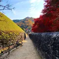 特別史跡旧閑谷学校の写真_280582