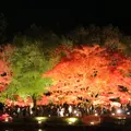 曽木公園の写真_281145