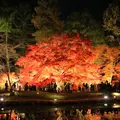 曽木公園の写真_281146