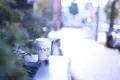 パーチ バイ ウッドベリー コーヒー ロースターズ （Perch by WOODBERRY COFFEE ROASTERS）の写真_281281