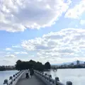 大濠公園の写真_281334