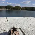 大濠公園の写真_281336