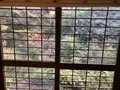 蕎仙坊の写真_282328