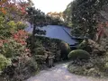蕎仙坊の写真_282329