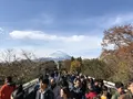 御殿場プレミアム・アウトレットの写真_282477