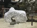 安井金比羅宮の写真_283740