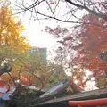 愛宕神社の写真_283776