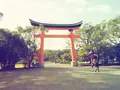宇佐神宮の写真_284753