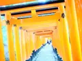 伏見稲荷大社の写真_284757