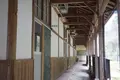 ネコノシマホステルの写真_285146