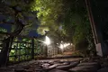 栗林公園の写真_285164
