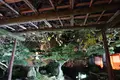 栗林公園の写真_285171