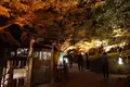 栗林公園の写真_285172