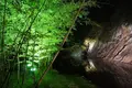 栗林公園の写真_285174