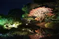 栗林公園の写真_285176