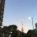 東京タワーの写真_285464