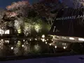ザ・ガーデンオリエンタル・大阪　(THE GARDEN ORIENTAL OSAKA)の写真_285666