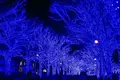 青の洞窟 SHIBUYAの写真_286718