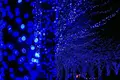 青の洞窟 SHIBUYAの写真_286719
