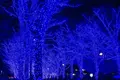 青の洞窟 SHIBUYAの写真_286723