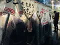 小金ちゃんの写真_288695