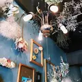 HANABARの写真_289682