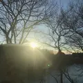 きぬの宿 志季大瀞の写真_289848
