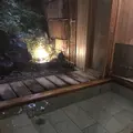 花吹雪の写真_289857