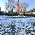 芝公園の写真_292551