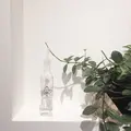 ウイズアウトスタンド 原宿 （W/O STAND）の写真_292853