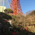 芝とうふ屋 うかいの写真_293729