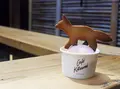  カフェ キツネ（CAFE KITSUNE）の写真_295557
