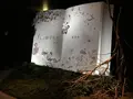 日本橋三井ホールの写真_296530
