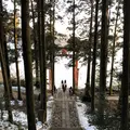 箱根神社の写真_297028