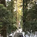 箱根神社の写真_297029