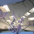 CONNEL COFFEE (コーネルコーヒー)の写真_297418
