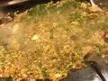海鮮 もんじゃ もへじ はなれの写真_298026