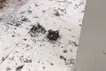 壺屋やちむん通りの写真_298069