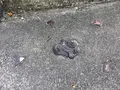 壺屋やちむん通りの写真_298072