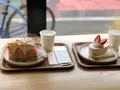 いちびこの写真_298760