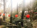 いろり山賊 玖珂店の写真_299024